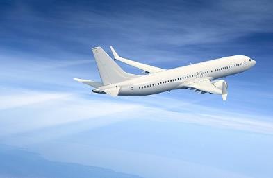 寧波貨代公司對(duì)比寵物空運(yùn)的運(yùn)輸方式